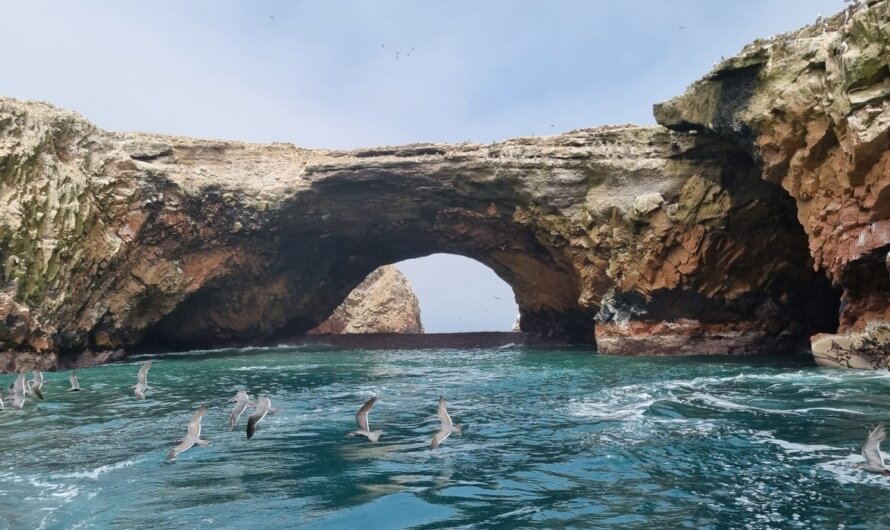 Guía Completa para Visitar las Islas Ballestas